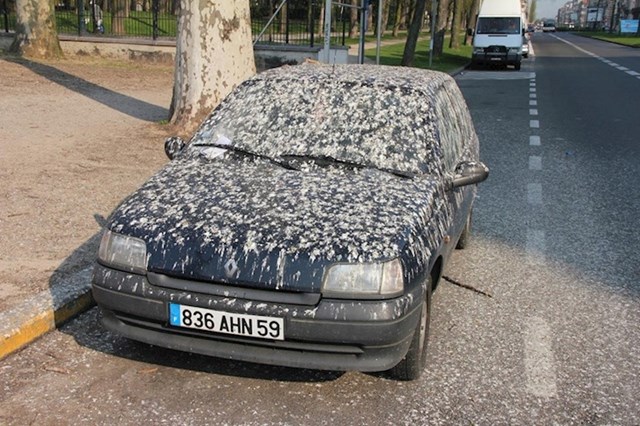 Parkirao je autu na najgorem mogućem mjestu.