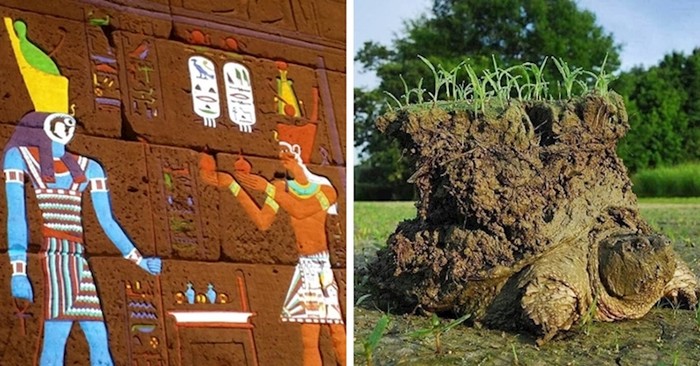 15 slika koje trebate vidjeti kako biste bolje razumjeli svijet oko vas
