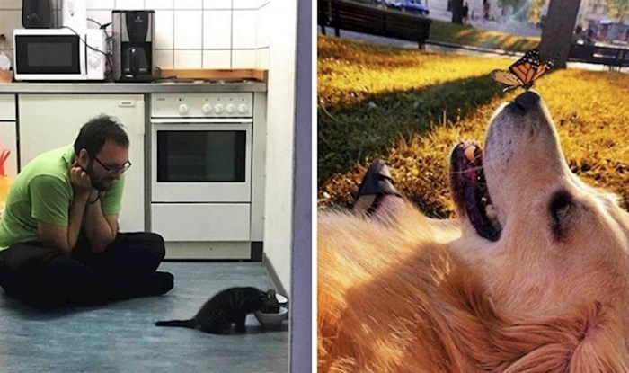 25 očaravajućih fotografija koje govore više od tisuću riječi
