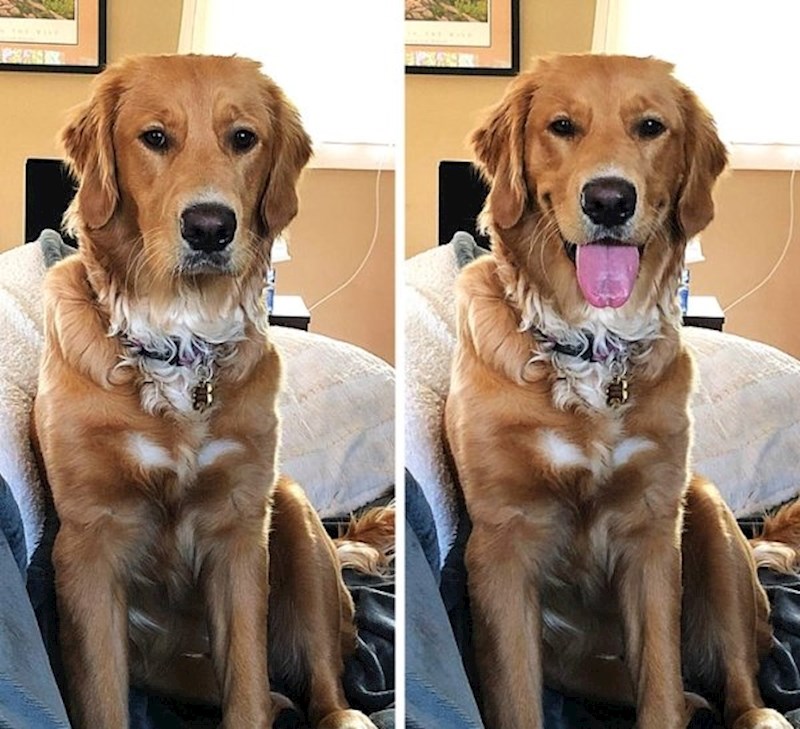 "Prije i nakon što sam joj rekla da je dobra curica."