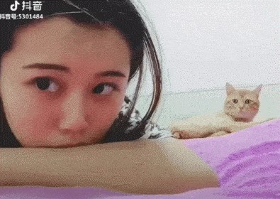 Djevojka je glumila da plače pa snimila nevjerojatnu reakciju svoje mačke