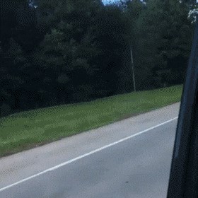 Vozač je na cesti snimio uznemirujući prizor, pogledajte što je netko vozio kao da se ništa nije dogodilo