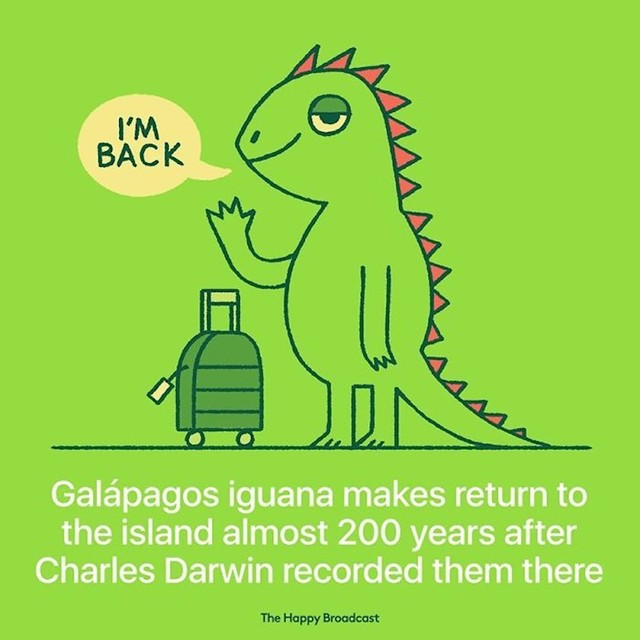 Galapagoška iguana vratila se na otočje 200 godina nakon što ih je Charles Darwin pisao o njima.