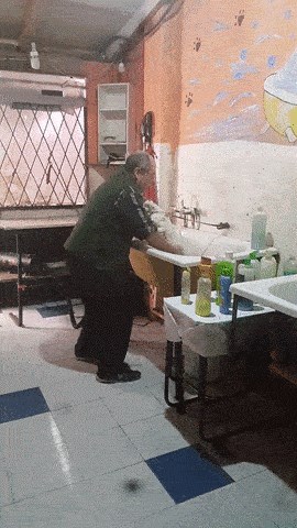 Kamerom su uhvatili frizera za pse i snimili što se događa kada nitko nije u blizini