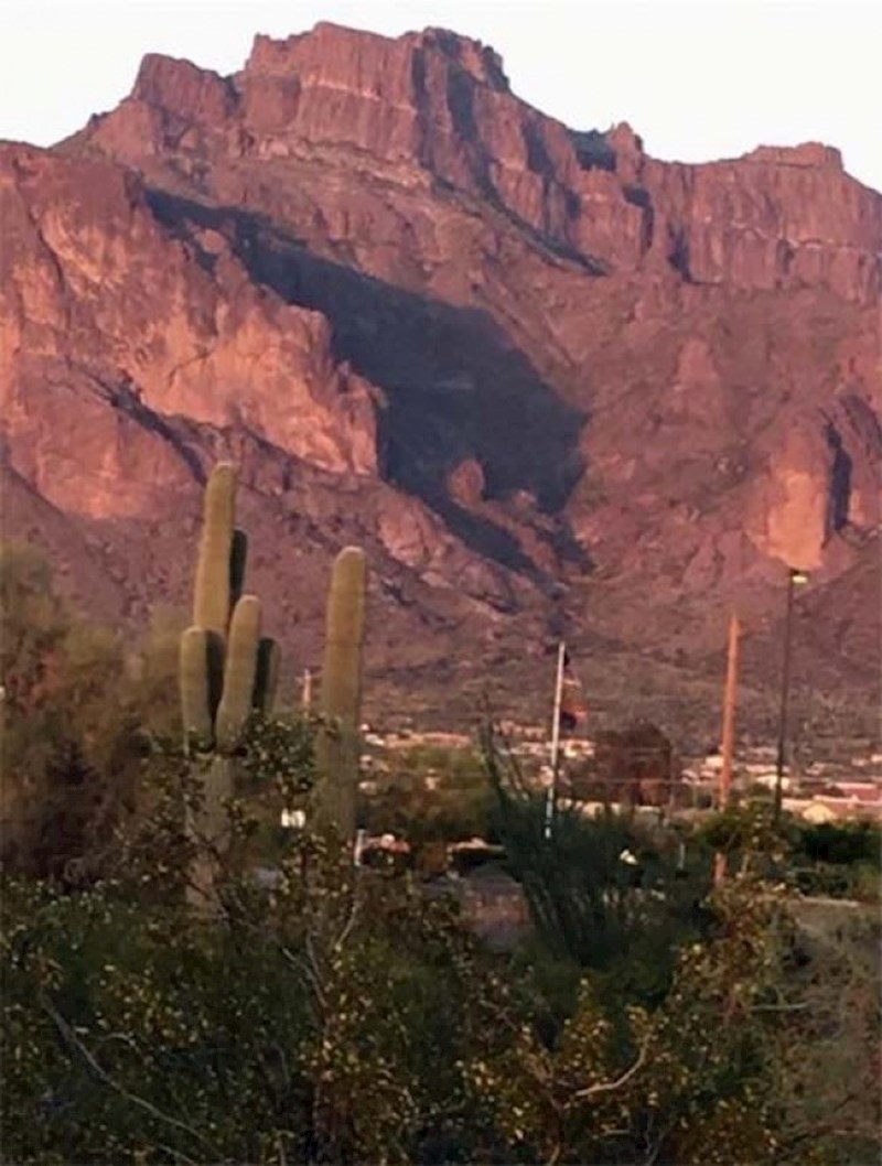 Sjena je obilježila teritorij planinskog lava?