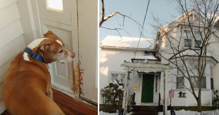 Policija je ženi javila da joj je pas čudno ponaša, u kući su našli čudne tragove i pravi razlog