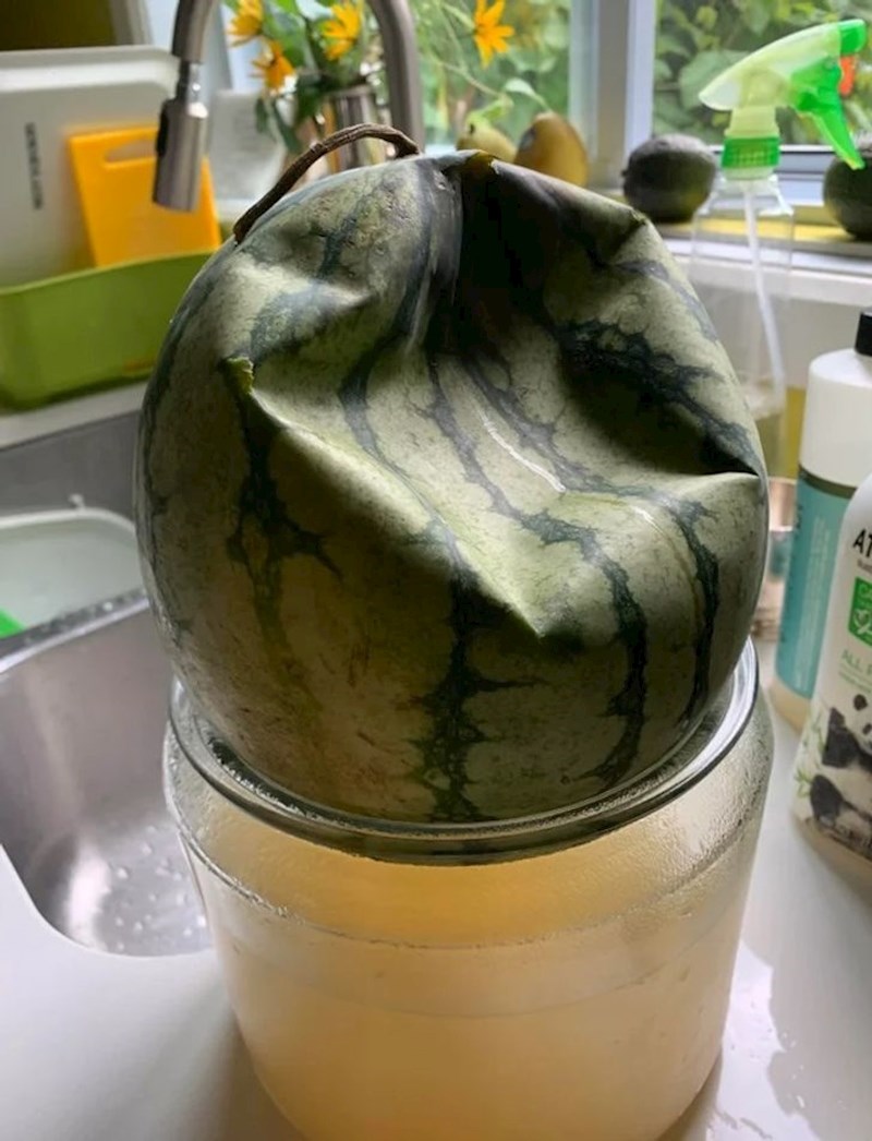 "Pogledajte što se ovoj lubenici dogodilo preko noći."