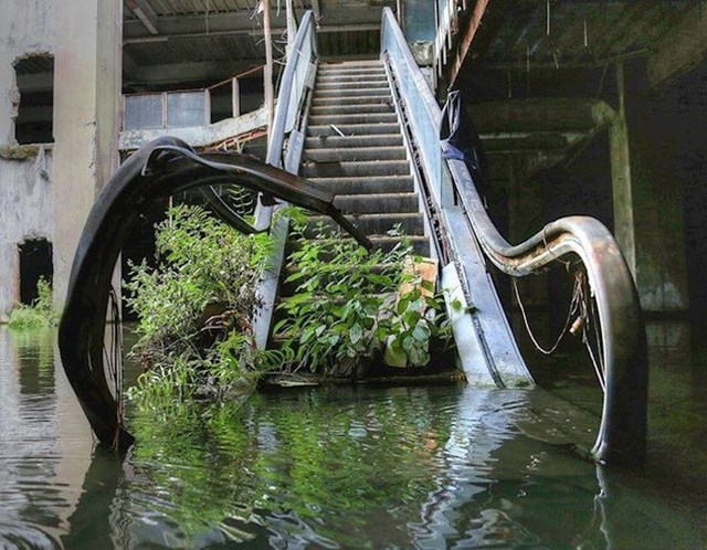 Ove stepenice sada koriste samo biljke.