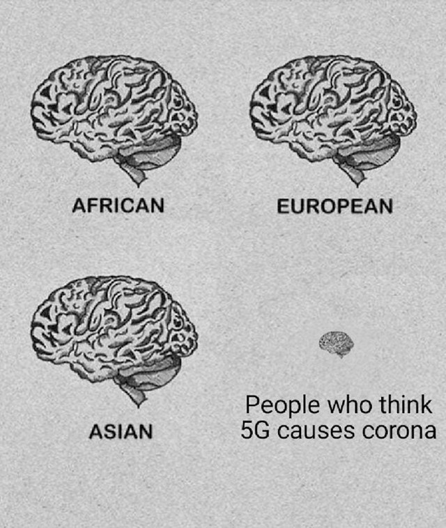 Mozak Afrikanaca, Europljana, Azijaca i ljudi koji misle da 5G mreža uzrokuje koronavirus