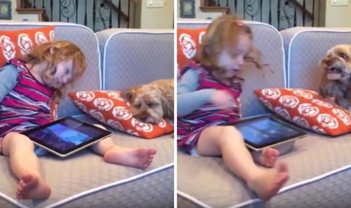 VIDEO Mala djevojčica je zaspala s tabletom u krilu, probudila ju je reakcija psa koji je odmah reagirao