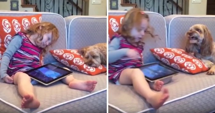 VIDEO Mala djevojčica je zaspala s tabletom u krilu, probudila ju je reakcija psa koji je odmah reagirao
