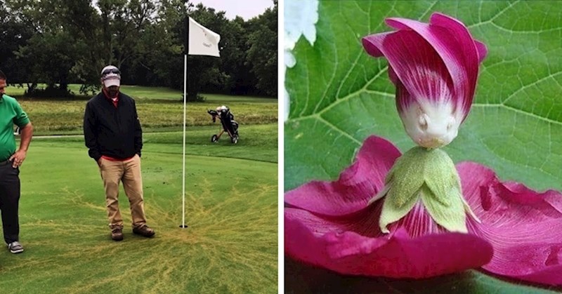 10 slika rijetkih prizora koji se viđaju samo jednom u životu