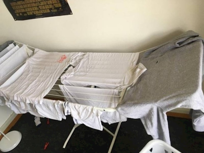 Kad cimer zauzme cijelo sušilo...