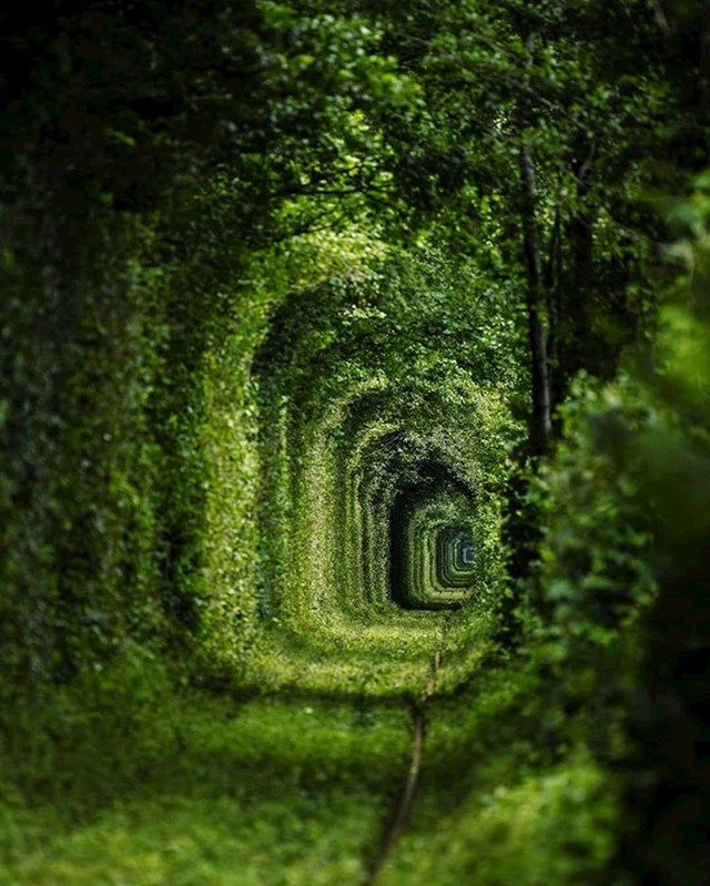 Ovu prugu je progutala priroda. Lokacija je poznata kao "tunel ljubavi".