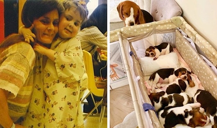14 slika koje dokazuju da majčinska ljubav izgleda jednako slatko i kod ljudi i kod životinja