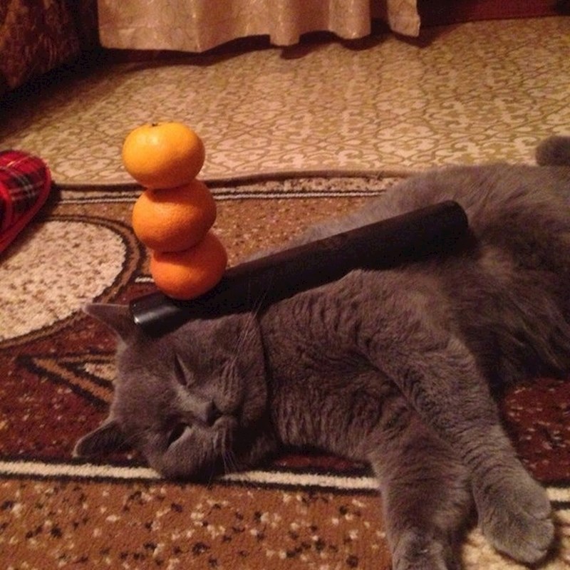 Što ste vi spremni trpjeti za malo kvalitetnog sna?