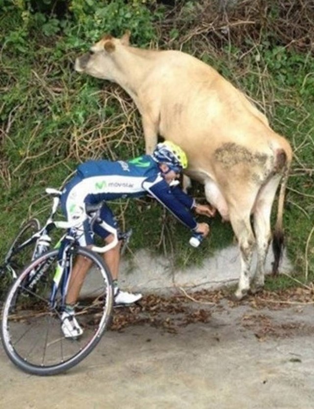 A ovaj biciklist želi svježeg mlijeka.