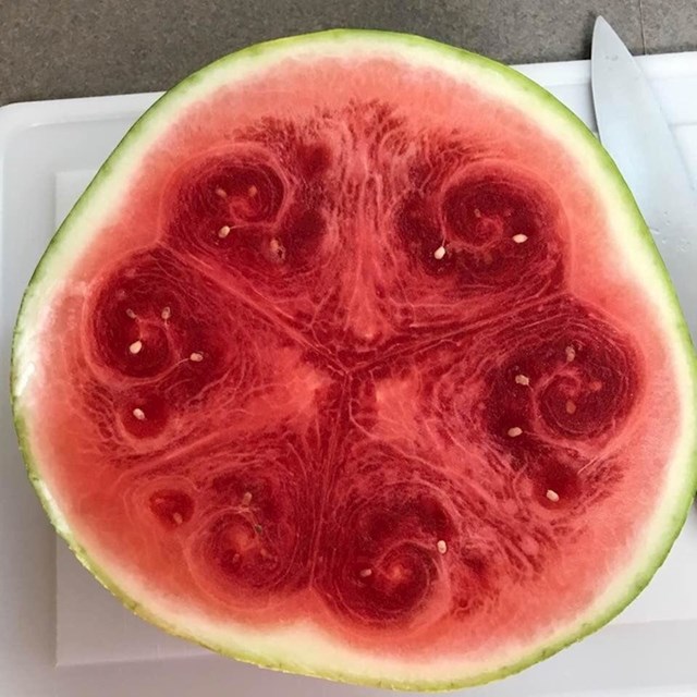 Ova lubenica je unutra bila prečudna.