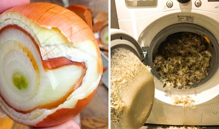 15 nesvakidašnjih slika koje pokazuju što znači biti pravi nesretnik