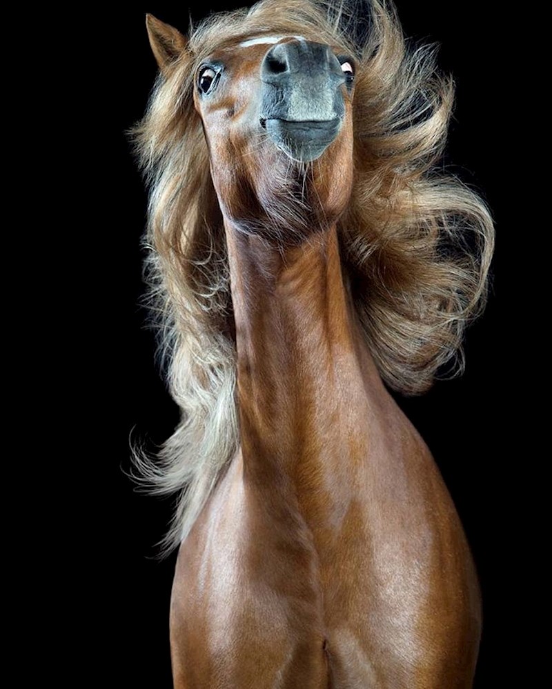 "Jesam li dobro ispala na slici?"