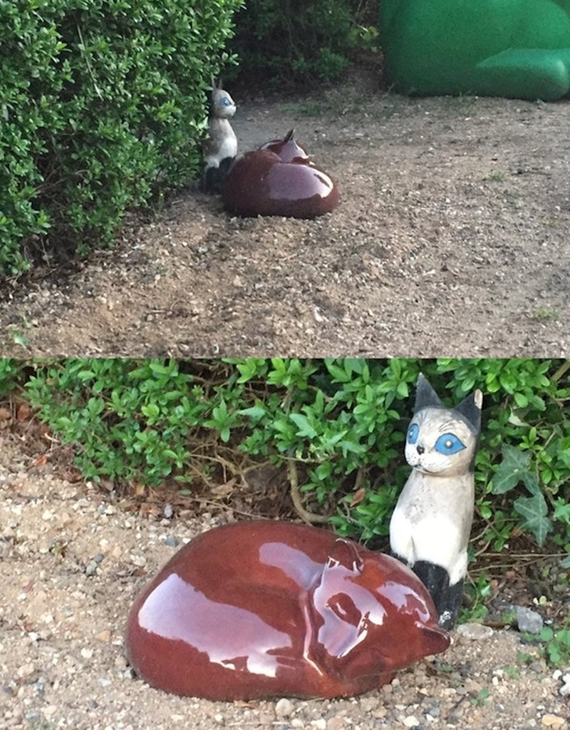 Maca izgleda kao da je obavila veeeeliku nuždu, ali...