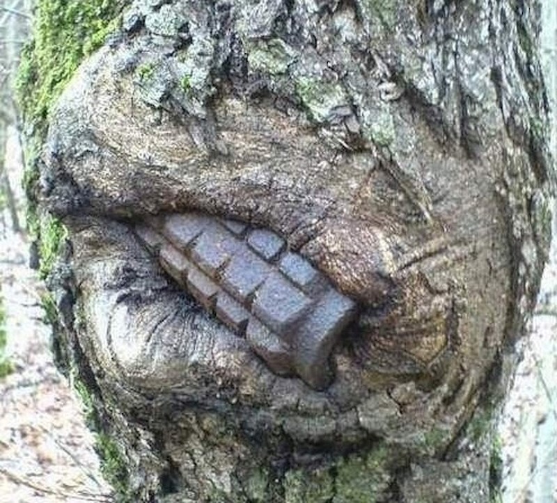 Sve ratove pobijedit će priroda.