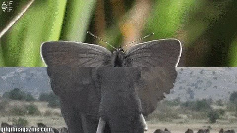 Ove snimke same po sebi nisu zanimljive, no pogledajte što se dogodi kad ih se spoji