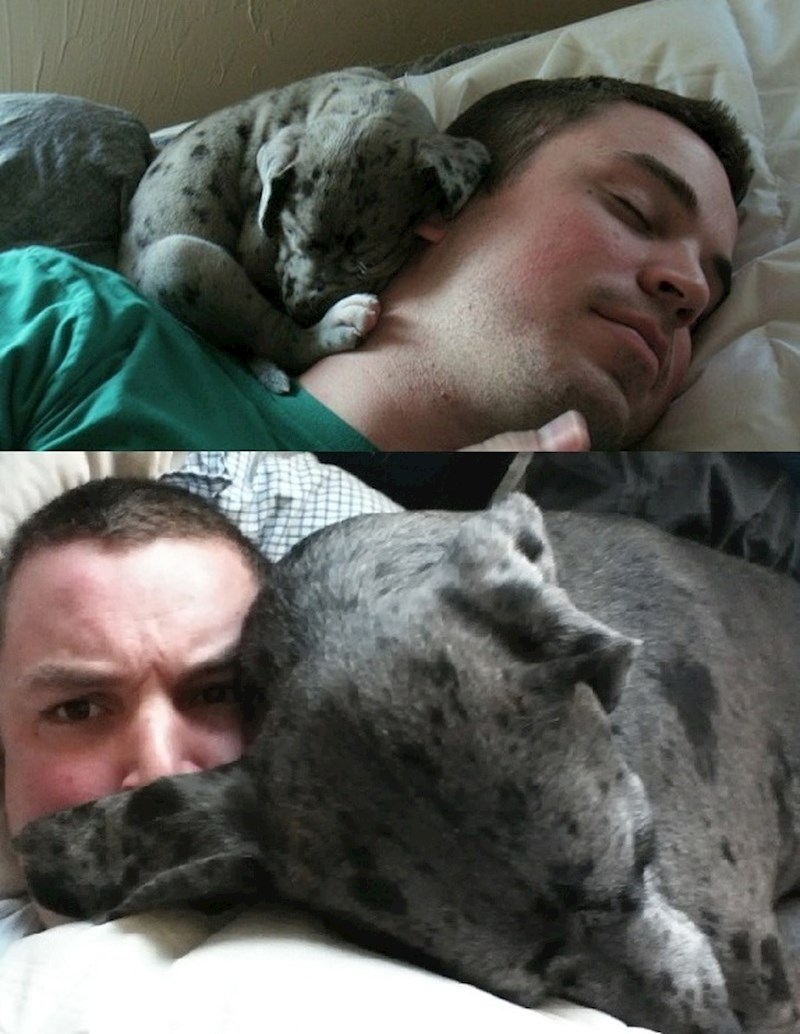 "Nemojte me krivo shvatiti, slatko mi je ovo, ali situacija nije više ista."