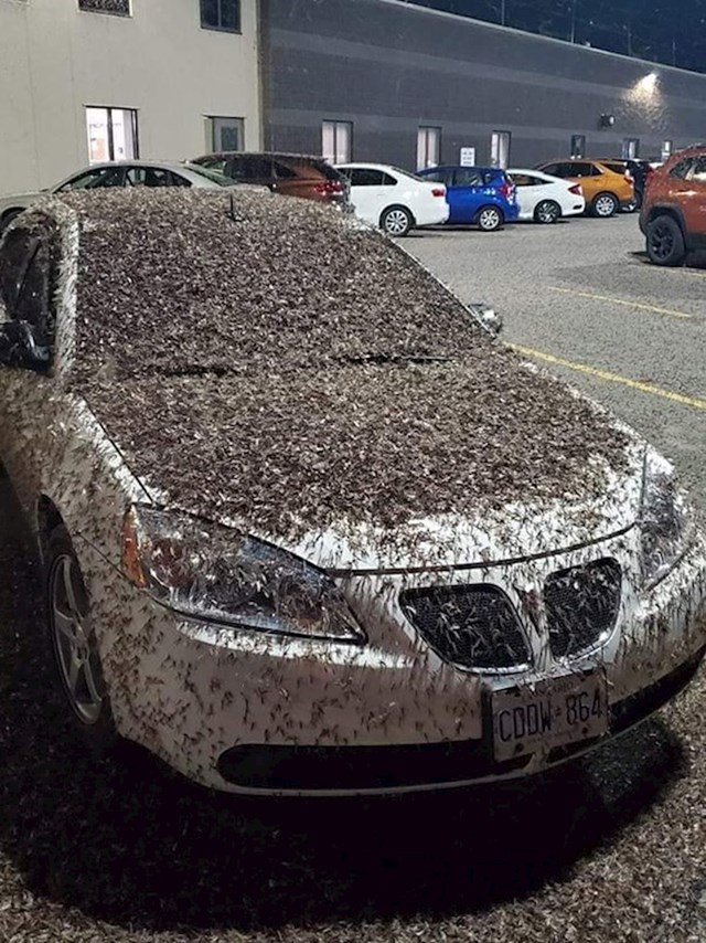 Ono kad se vratiš do auta i dočeka te ovo...
