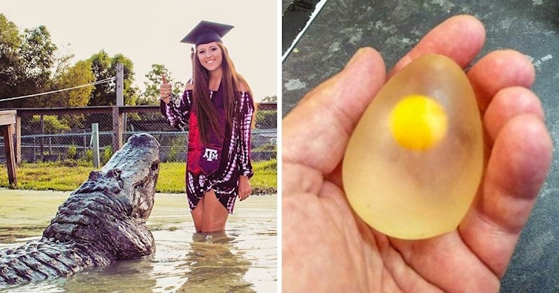 15 stvari o kojima ste možda već razmišljali, ali ih nikad niste vidjeli