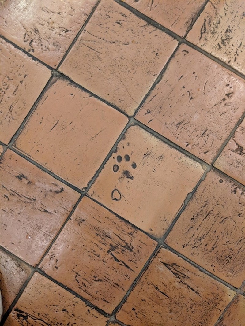 Jesu li ovi tragovi životinje nastali prilikom proizvodnje pločica ili tek kasnije?