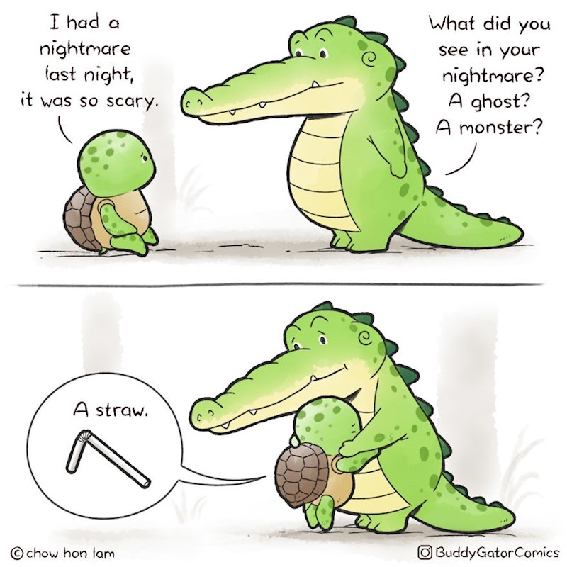 Kornjača i noćna mora