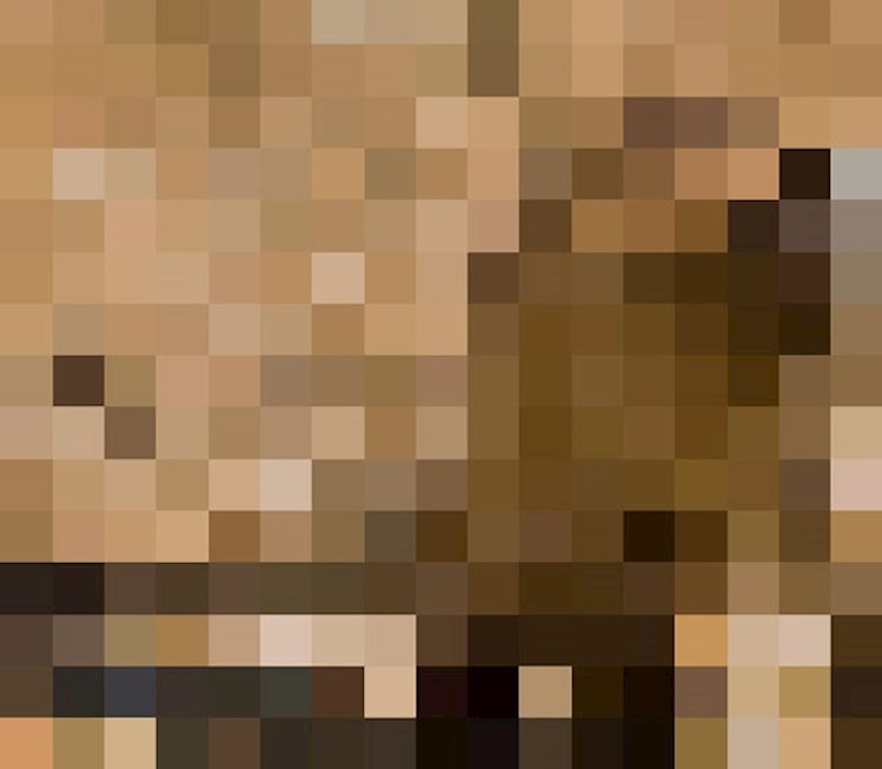 Crnonogi tvor, preostalo: oko 300 (procjena)