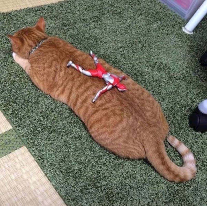 "Ti si postao moj krevet."