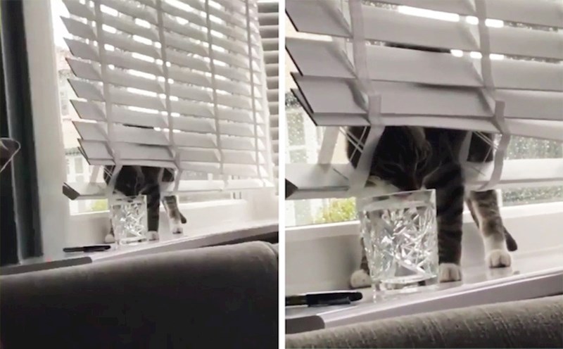 "Ovo se čini kao odlično mjesto za uživanje u piću."