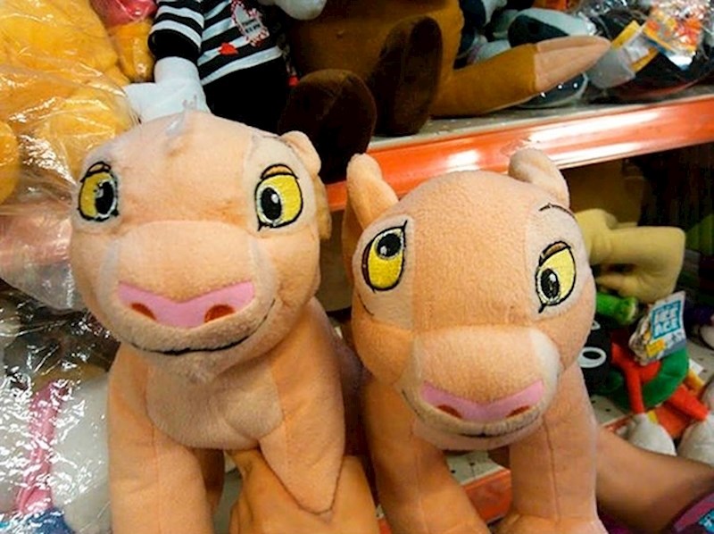 Vjerojatno ga nitko neće htjeti kupiti. :(