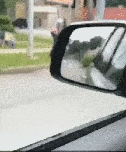 GLEDAJTE GENIJALCA Radnik je dobio zadatak pokositi travu, sjetio se kako bi to mogao obaviti puno brže