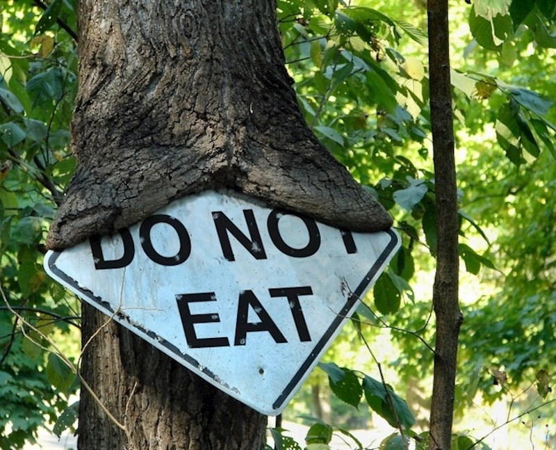 Nažalost, drvo ne zna čitati.