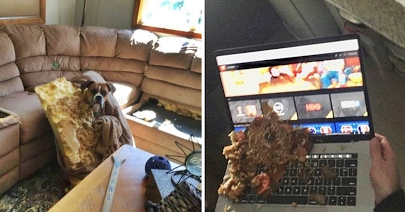 Ovi ljudi stvarno nisu imali sreće, slikali su događaje koji su im pokvarili dan