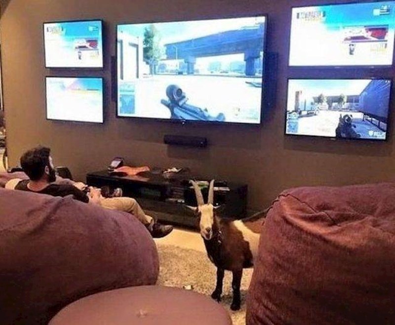 Je li uopće primijetio tko mu je u sobi?