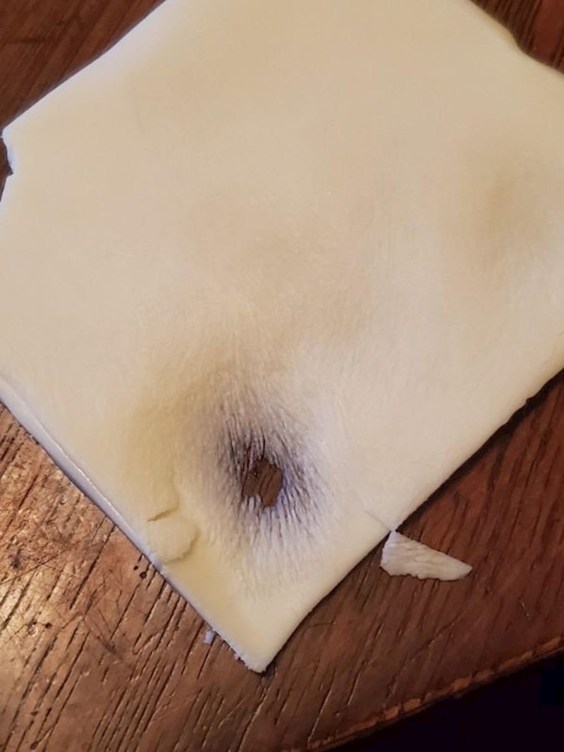 "Evo što se dogodilo kad je naša mačka nekoliko minuta lizala tvrdi sir."