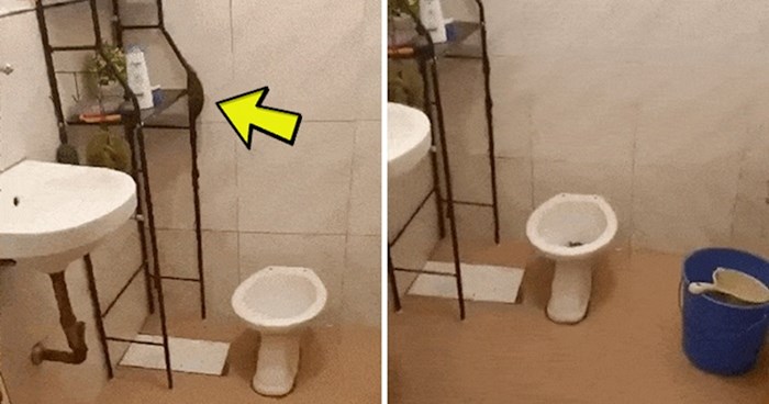 Žena nije mogla vjerovati svojim očima kad je vidjela što se događa u WC-u, pogledajte što je snimila