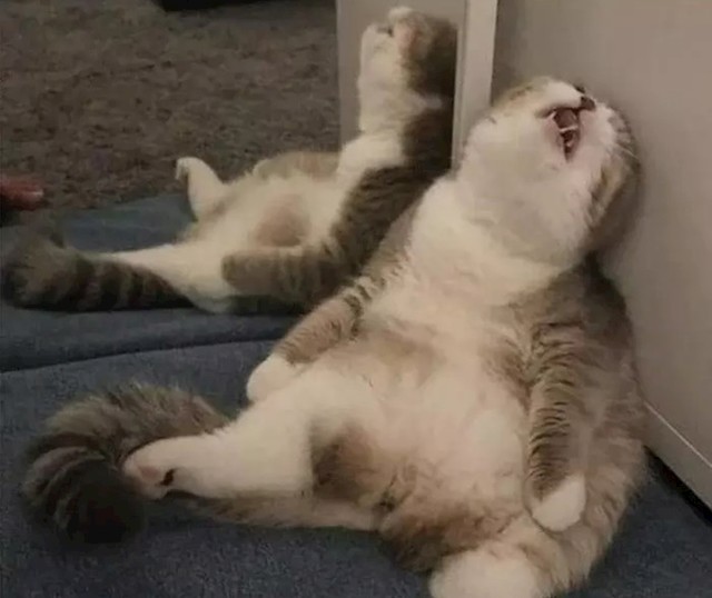 Ono kad počnete čistiti pa sjednete kako biste se malo odmorili i probudite se nakon 6 sati...
