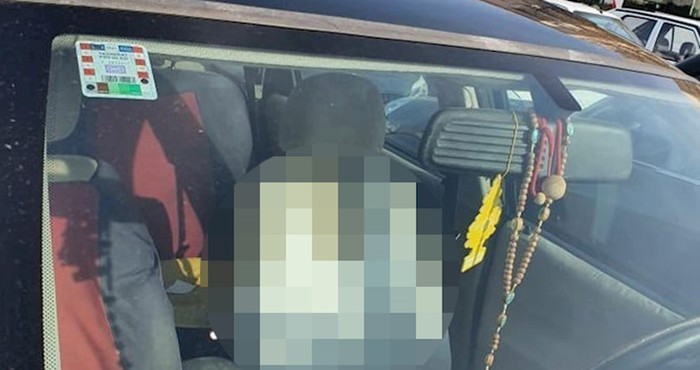 Dalmatinac je dokazao da kupovanje navlaka za auto sjedala stvarno nije potrebno