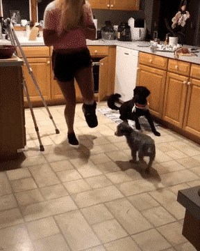 Nije joj bilo lako hodati sa slomljenom nogom, no oduševila se kad je vidjela kako su njeni psi reagirali