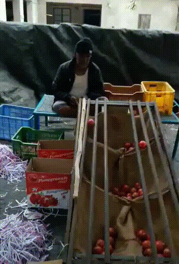 Ideja ovih voćara dokazuje da svi poslovi mogu biti jednostavniji kad čovjek upotrijebi malo mašte