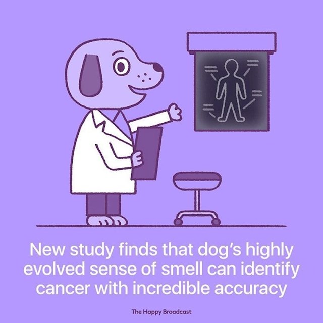 Nova istraživanja su pokazala da pseći njuh može na nevjerojatan način prepoznati rak kod čovjeka.