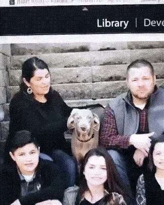 Bračni par primijetio smiješne grimase koje je njihov pas radio na grupnim fotkama