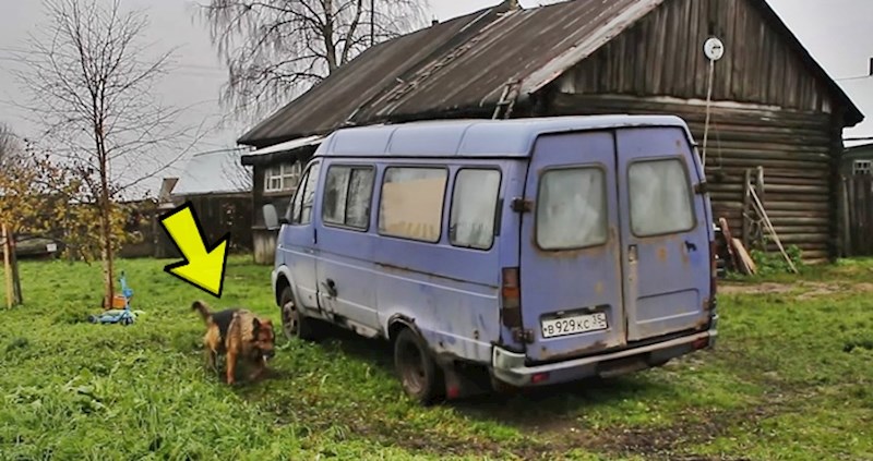 KAKO KLONIRATI PSA Rus je snimio video koji će svakom ljubitelju pasa nabaciti osmijeh na lice