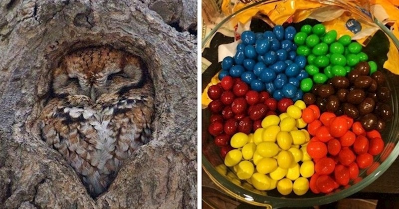 20 savršenih fotki koje će vam i u teškim vremenima donijeti osjećaj unutarnjeg zadovoljstva